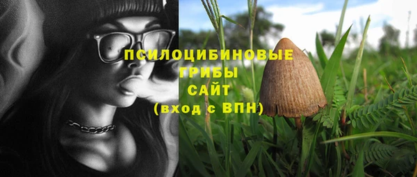 каннабис Алзамай