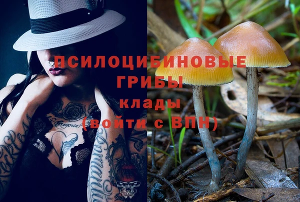 каннабис Алзамай