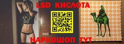 дмт Ставрополь
