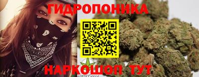 дмт Ставрополь