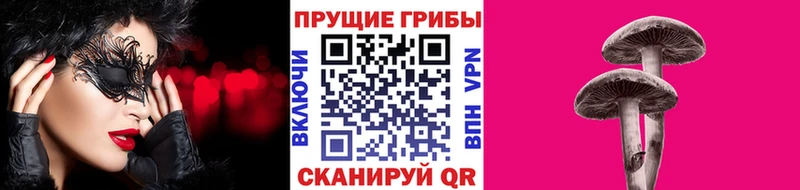 Галлюциногенные грибы Psilocybine cubensis  купить наркотики сайты  Сорочинск 