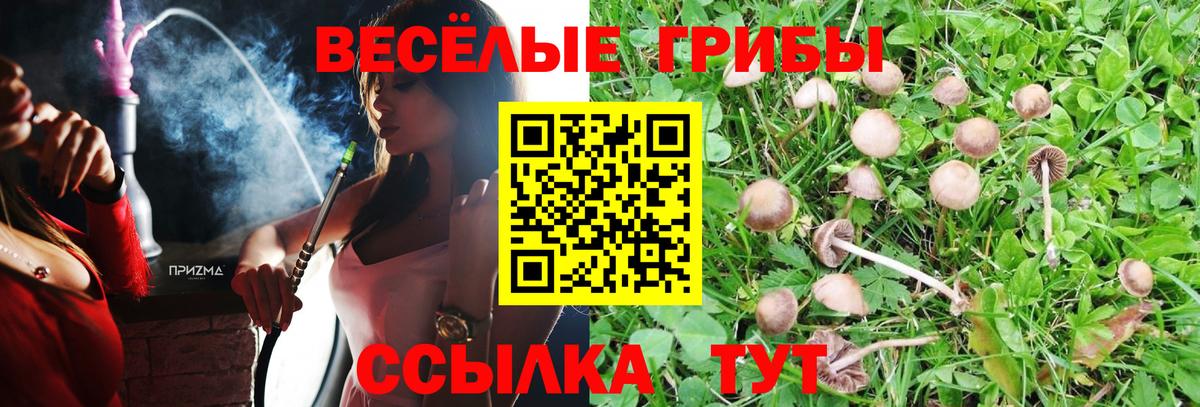 Сорочинск  Галлюциногенные грибы мицелий  Вход с VPN 
